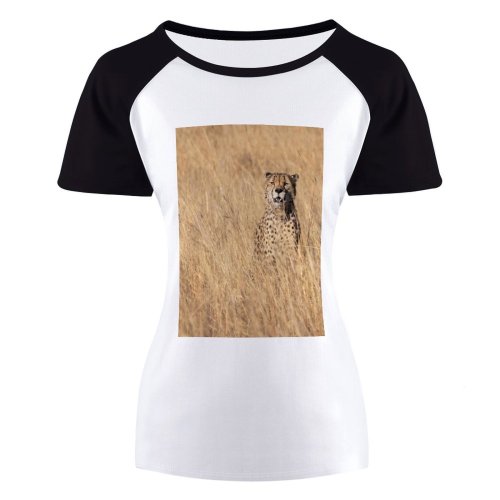 yanfind Women's Sleeve Raglan T Shirt Short Big Cat Carnivore Cheetah Dangerous Daylight Daytime Dots Fur Grass Grassland Hunter