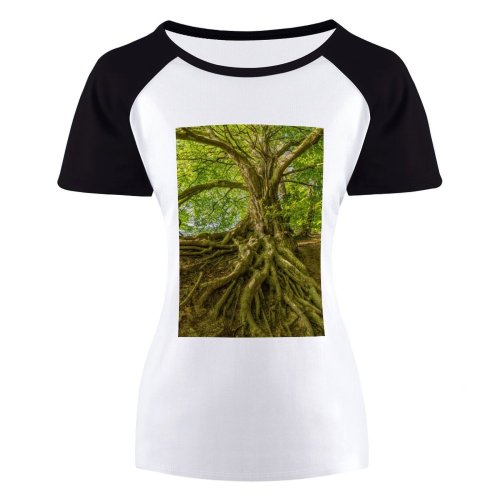 yanfind Women's Sleeve Raglan T Shirt Short Bark Beautiful Branch Countryside Daylight Fall Flora Forest Growth Landscape Leaves Light