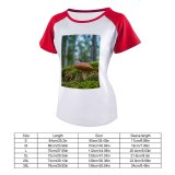 yanfind Women's Sleeve Raglan T Shirt Short Boletus Fungus Macro Mushroom Outdoors Toadstool