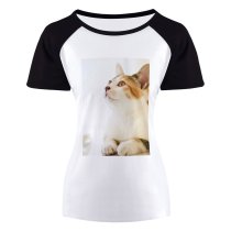 yanfind Women's Sleeve Raglan T Shirt Short Adorable Cat Curiosity Cute Eyes Fur Kitten Kitty Little Magazines Paws Pet