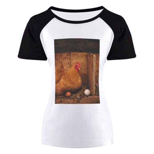yanfind Women's Sleeve Raglan T Shirt Short Barn Bird Chicken Eggs Farm Hen Nest Poultry Wood