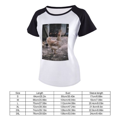 yanfind Women's Sleeve Raglan T Shirt Short Barn Beaks Chicken Daytime Farm Feathers Hen Livestocks Outdoors Rural Wildlife