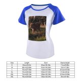 yanfind Women's Sleeve Raglan T Shirt Short Big Cat Carnivore Dangerous Felidae Grass Park Wild Wildlife