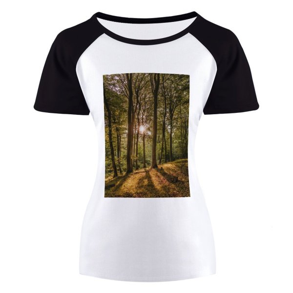 yanfind Women's Sleeve Raglan T Shirt Short Branches Countryside Daylight Forest Grass Jungle Landscape Leaves Outdoors Scenery Scenic