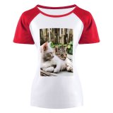 yanfind Women's Sleeve Raglan T Shirt Short Adorable Blurr Cats Cute Depth Field Cat Felidae Focus Fur Furry Kitty