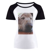 yanfind Women's Sleeve Raglan T Shirt Short Cute Dog Golden Pet