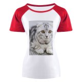 yanfind Women's Sleeve Raglan T Shirt Short Adorable Cat Cats Cute Grey Kitten Pet