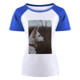 yanfind Women's Sleeve Raglan T Shirt Short Cute Dog Hound Pet