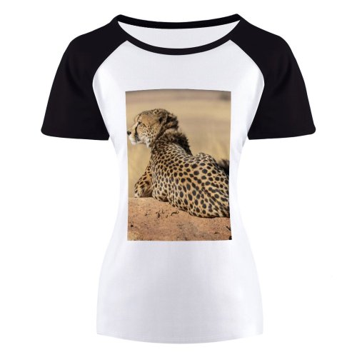 yanfind Women's Sleeve Raglan T Shirt Short Big Cat Cheetah Hunter Safari Savanna Serengeti Africa Wild Wildlife