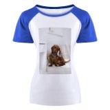 yanfind Women's Sleeve Raglan T Shirt Short Adorable Portrait Bed Bedroom Canidae Cute Dog Face Human's Friend