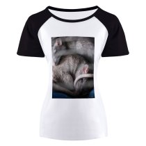 yanfind Women's Sleeve Raglan T Shirt Short Asleep Cute Eyes Fur Grey Little Pet Portrait Rats Together Whisker