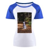 yanfind Women's Sleeve Raglan T Shirt Short Adorable Canidae Cute Dog Forest Outdoors Pet Rest Resting Sit Swiss Woods