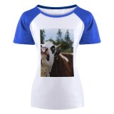 yanfind Women's Sleeve Raglan T Shirt Short Cattle Countryside Cow Cute Farm Grass Outdoors Pasture Rural Trees