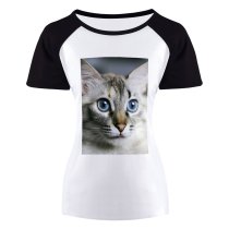 yanfind Women's Sleeve Raglan T Shirt Short Adorable Eyes Cat Face Focus Fur Furry Grey Nose Pet Whiskers
