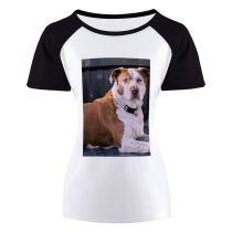 yanfind Women's Sleeve Raglan T Shirt Short Adorable Cute Depth Field Dog Focus Fur Pet Pitbull Sit Snout