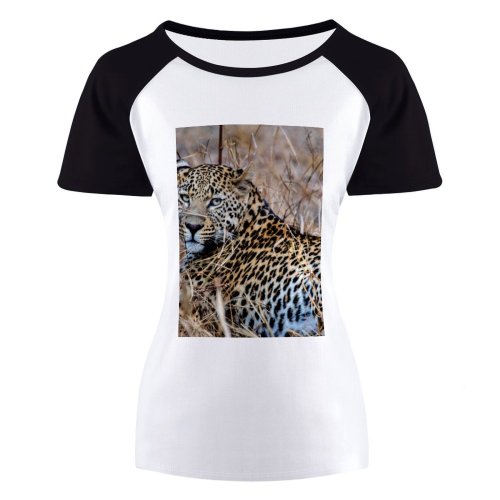 yanfind Women's Sleeve Raglan T Shirt Short Big Cat Carnivore Cheetah Danger Fur Hunter Jungle Leopard Outdoors Panthera