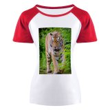 yanfind Women's Sleeve Raglan T Shirt Short Big Cat Biology Carnivore Fangs Felidae Ferocious Fierce Fur Furious Plants Stripes