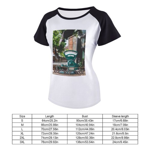 yanfind Women's Sleeve Raglan T Shirt Short Brass Design Flowers Instrument Iron Lamp Lantern Lights Metal Metallic Meter Outdoors
