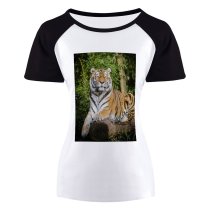 yanfind Women's Sleeve Raglan T Shirt Short Big Cat Carnivore Felidae Fur Plants Stripes Tigris Trunk Wild Wildlife