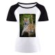 yanfind Women's Sleeve Raglan T Shirt Short Big Cat Carnivore Felidae Fur Plants Stripes Tigris Trunk Wild Wildlife