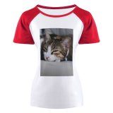 yanfind Women's Sleeve Raglan T Shirt Short Cat Face Cat's Eyes Focus Fur Furry Nose Pet Sleeping Sleepy Whiskers