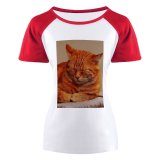 yanfind Women's Sleeve Raglan T Shirt Short Adorable Cat Face Cuddly Cute Downy Felidae Focus Fur Furry Mat
