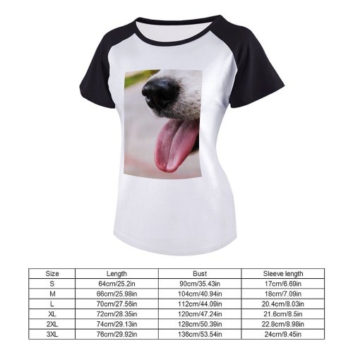 yanfind Women's Sleeve Raglan T Shirt Short Cute Dog Fur Little Outdoors Pet Portrait Puppy Young