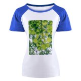 yanfind Women's Sleeve Raglan T Shirt Short Branch Ecology Flora Leaf Outdoors