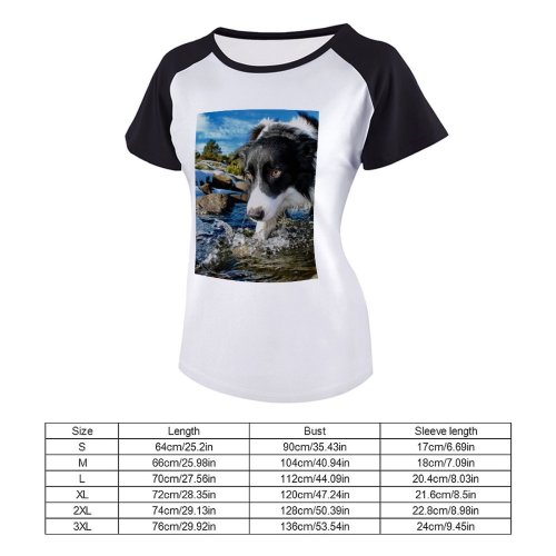 yanfind Women's Sleeve Raglan T Shirt Short Adorable Boder Collie Eyes Cute Dog Fur Furry Outdoors Pet River Rocks