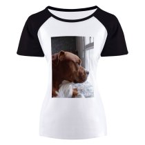 yanfind Women's Sleeve Raglan T Shirt Short Cute Daylight Dog Pet Pitbull Puppy Sit Window