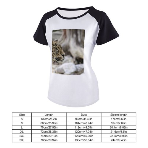 yanfind Women's Sleeve Raglan T Shirt Short Attention Big Cat Carnivore Danger Eyes Face Felidae Focus Fur Hunter