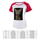 yanfind Women's Sleeve Raglan T Shirt Short Adorable Cat Cats Cute Eyes Fur Kitten Pet Portrait Whiskers