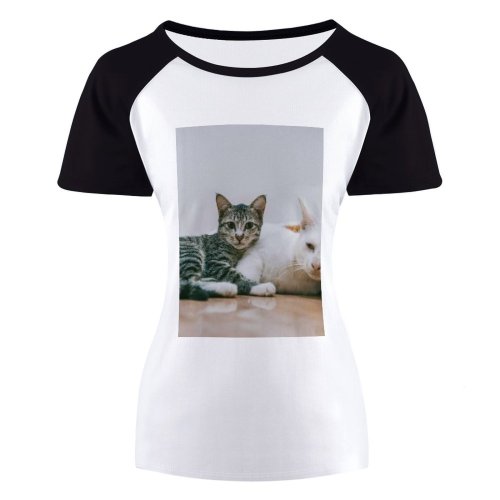 yanfind Women's Sleeve Raglan T Shirt Short Cats Cat Eyes Fur Furry Little Mammals Tabby Whiskers