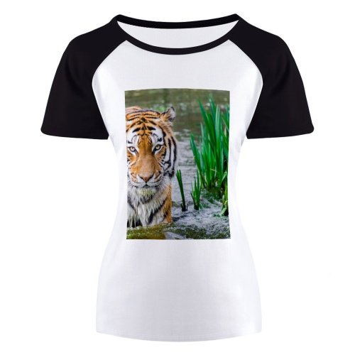 yanfind Women's Sleeve Raglan T Shirt Short Big Cat Carnivore Desktop Felidae Fur Plants Stripes Whiskers