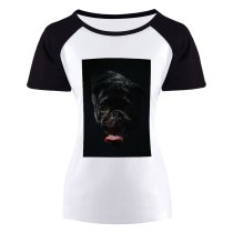 yanfind Women's Sleeve Raglan T Shirt Short Adorable Dog Cute Dark Eyes Face Little Pedigree Pet Portrait Puppy Studio
