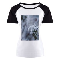yanfind Women's Sleeve Raglan T Shirt Short Frost Frosty Frozen Leaves Macro Plant Season Snow Winter