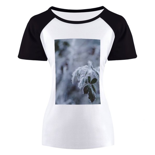 yanfind Women's Sleeve Raglan T Shirt Short Frost Frosty Frozen Leaves Macro Plant Season Snow Winter
