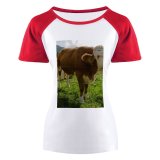 yanfind Women's Sleeve Raglan T Shirt Short Cattle Cow Farm Farmland Fence Field Grass Grassland Graze Meadow Pasture