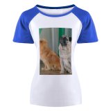 yanfind Women's Sleeve Raglan T Shirt Short Adorable Cute Dog Little Pet Puppy Sit