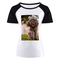 yanfind Women's Sleeve Raglan T Shirt Short Adorable Portrait Canidae Cute Depth Field Dog Face Fur Furry
