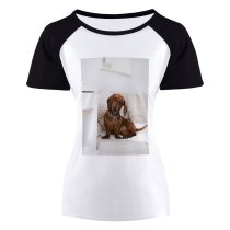 yanfind Women's Sleeve Raglan T Shirt Short Adorable Portrait Bed Bedroom Canidae Cute Dog Face Human's Friend