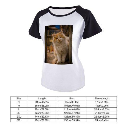 yanfind Women's Sleeve Raglan T Shirt Short Adorable Cat Cute Downy Eyes Fur Kitten Nose Pet Staring Whiskers