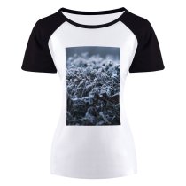 yanfind Women's Sleeve Raglan T Shirt Short Crystal Frost Frosty Frozen Grass Leaves Outdoors Season Snow Texture