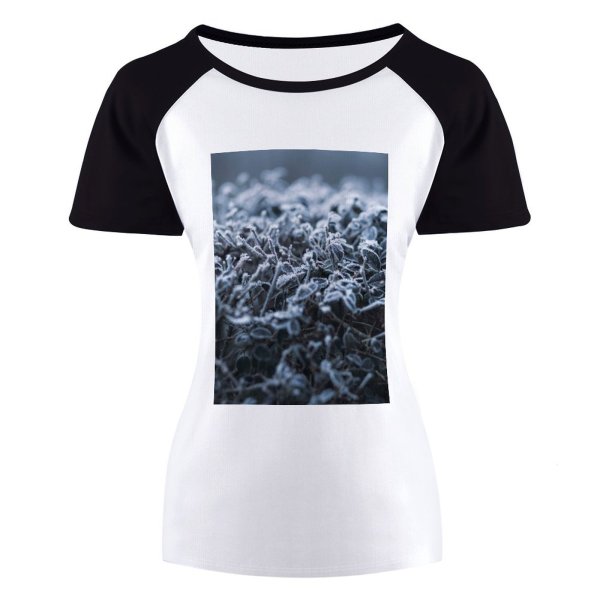 yanfind Women's Sleeve Raglan T Shirt Short Crystal Frost Frosty Frozen Grass Leaves Outdoors Season Snow Texture
