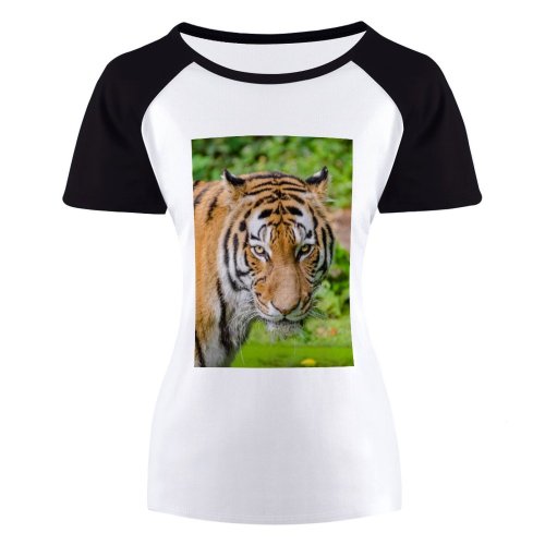 yanfind Women's Sleeve Raglan T Shirt Short Big Carnivore Cat Felidae Fur Plants Stripes Tigris Whiskers Wild