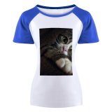 yanfind Women's Sleeve Raglan T Shirt Short Adorable Cat Cute Eyes Face Felidae Fur Kitty Pet Tabby Whiskers