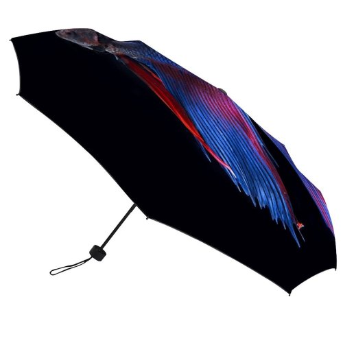 yanfind Umbrella Manual UK Fin Fish Fighting Wildlife Beauty Shot Iridescent Siamese Skin Studio Vibrant Windproof waterproof anti-ultraviolet protection golf umbrella