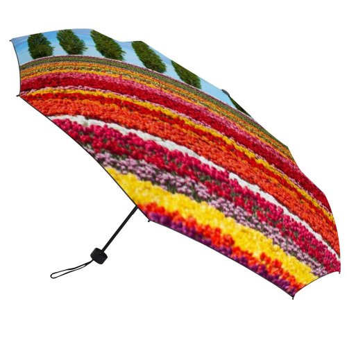 yanfind Umbrella Manual Sky Farm Season Land Rural Scene Horizon Plant Scenics Over Outdoors Row Windproof waterproof anti-ultraviolet protection golf umbrella