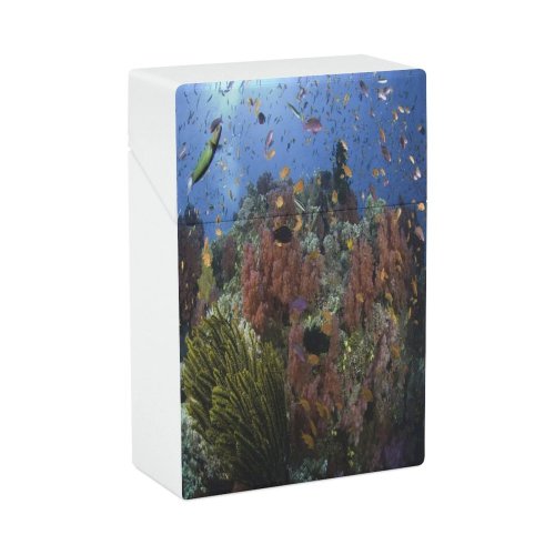 yanfind Cigarette Case Cnidarian Ecosystem Undersea Island Fiji Sea Tropical Fish Beauty Oceania Coral Hard Plastic Crushproof Cigarette Case