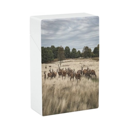 yanfind Cigarette Case Wildlife Agricultural Deer Biodiversity Formal Stag Woodland Natural Antler Planet Field Hard Plastic Crushproof Cigarette Case